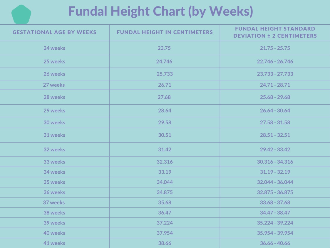 Fundal Height Chart and Fetal Height Measuring Your Baby